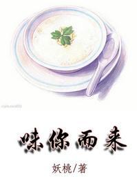 味你而来封面