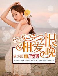 相爱恨晚封面