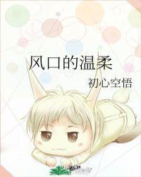 风口的温柔封面
