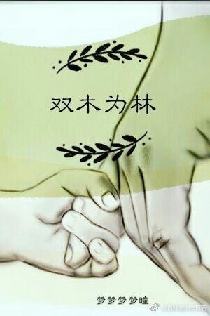 双木为林封面
