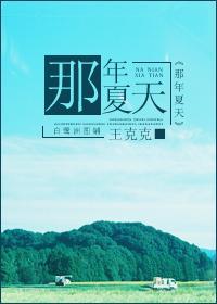 那年夏天封面