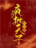 宫锁雀翎封面