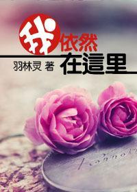 我依然在这里封面