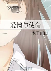 爱情与使命封面