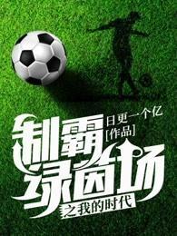 制霸绿茵场之我的时代封面
