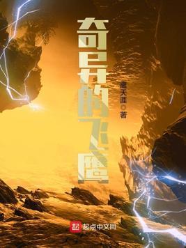 奇异的飞鹰封面