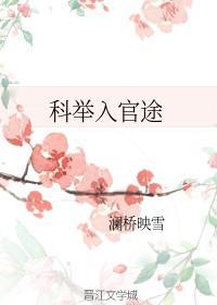 科举入官途封面