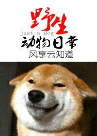 野生动物的日常封面
