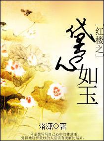 红楼之黛心如玉封面