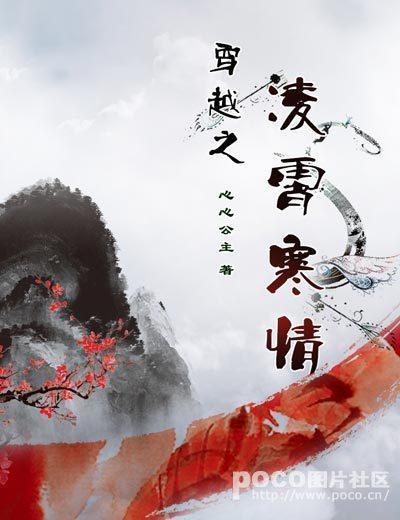 穿越之凌霄寒情封面