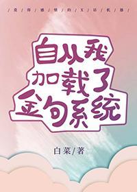 自从我加载了金句系统封面