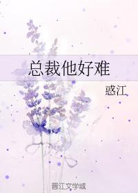 总裁他好难封面