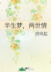 半生梦，两世情封面