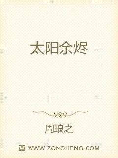 太阳余烬封面