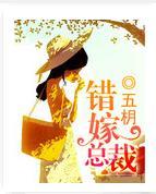 错嫁总裁封面