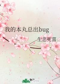 我的本丸总出bug封面