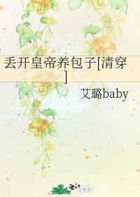 丢开皇帝养包子[清穿]封面