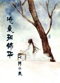 沧桑知锦华封面