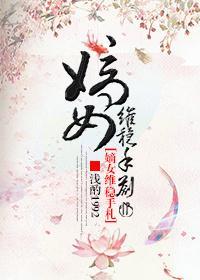 嫡女维稳手札封面