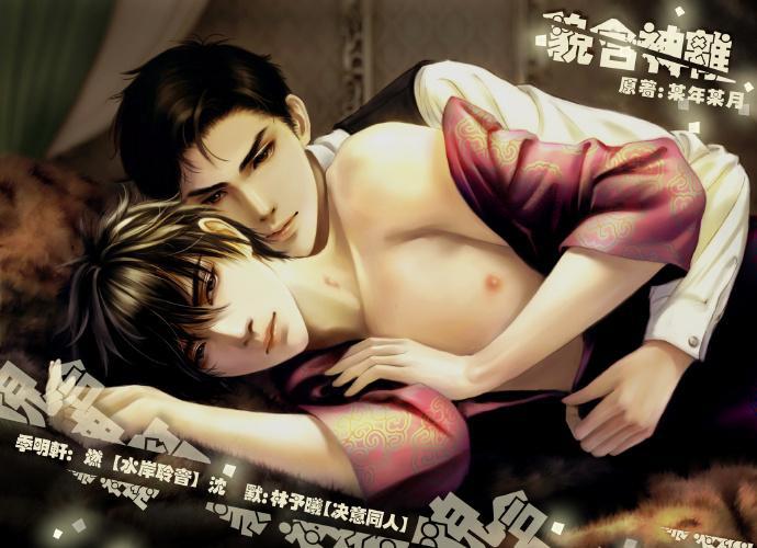 貌合神离封面