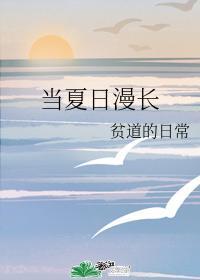 当夏日漫长封面