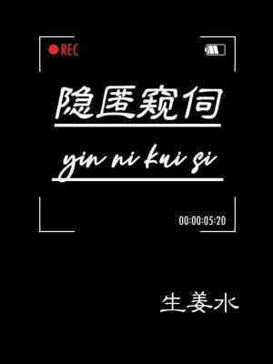 隐匿窥伺封面