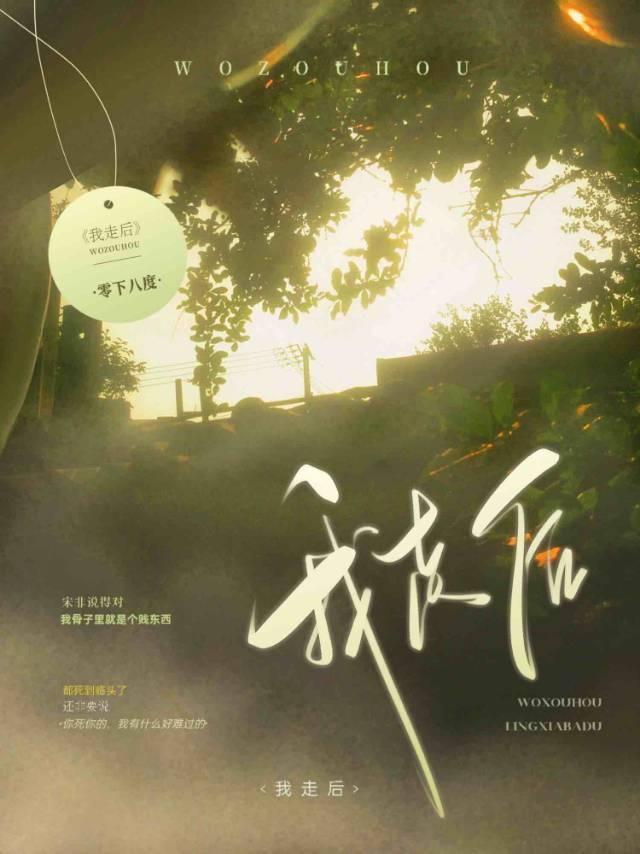 我走后封面