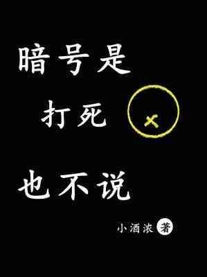 暗号是打死也不说封面