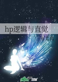 hp逻辑与直觉封面