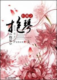 红楼之抱琴封面