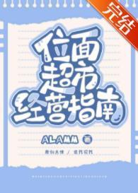 位面超市经营指南封面