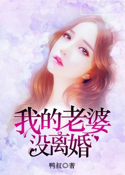 我的老婆没离婚封面