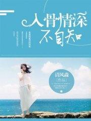 入骨情深不自知封面