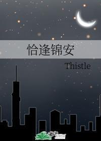 恰逢锦安封面