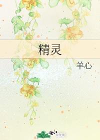 精灵封面