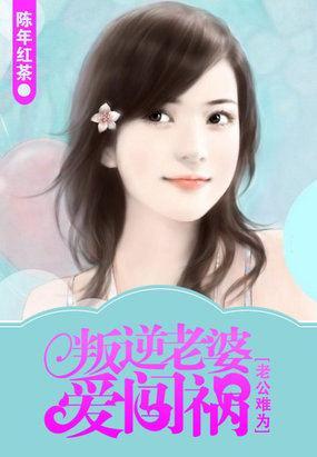 老公难为：叛逆老婆爱闯祸封面
