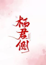 栖君侧封面