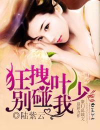 狂拽叶少的婚事封面