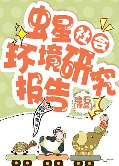 虫星社会环境研究报告封面