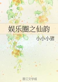 韩娱之仙韵封面
