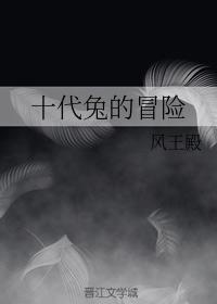 十代兔的冒险封面