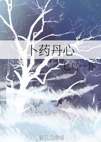 卜药丹心封面