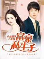 富豪私生子封面