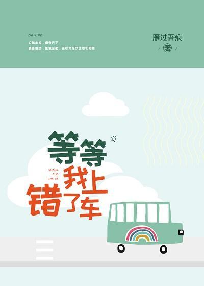 等等，我上错车了封面