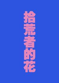拾荒者的花封面