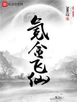 氪金飞仙封面