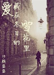 爱藏在冬日的雪花里封面