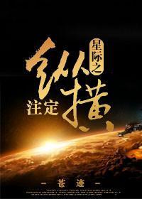 星际之註定纵横封面