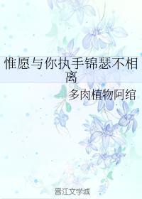 惟愿与你执手锦瑟不相离封面