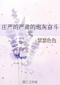 庄严的严肃的炮灰奋斗史封面